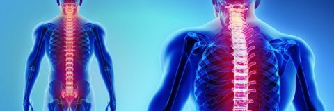 Glossary of Spinal Terms | Texas Spine Clinic in San Antonio